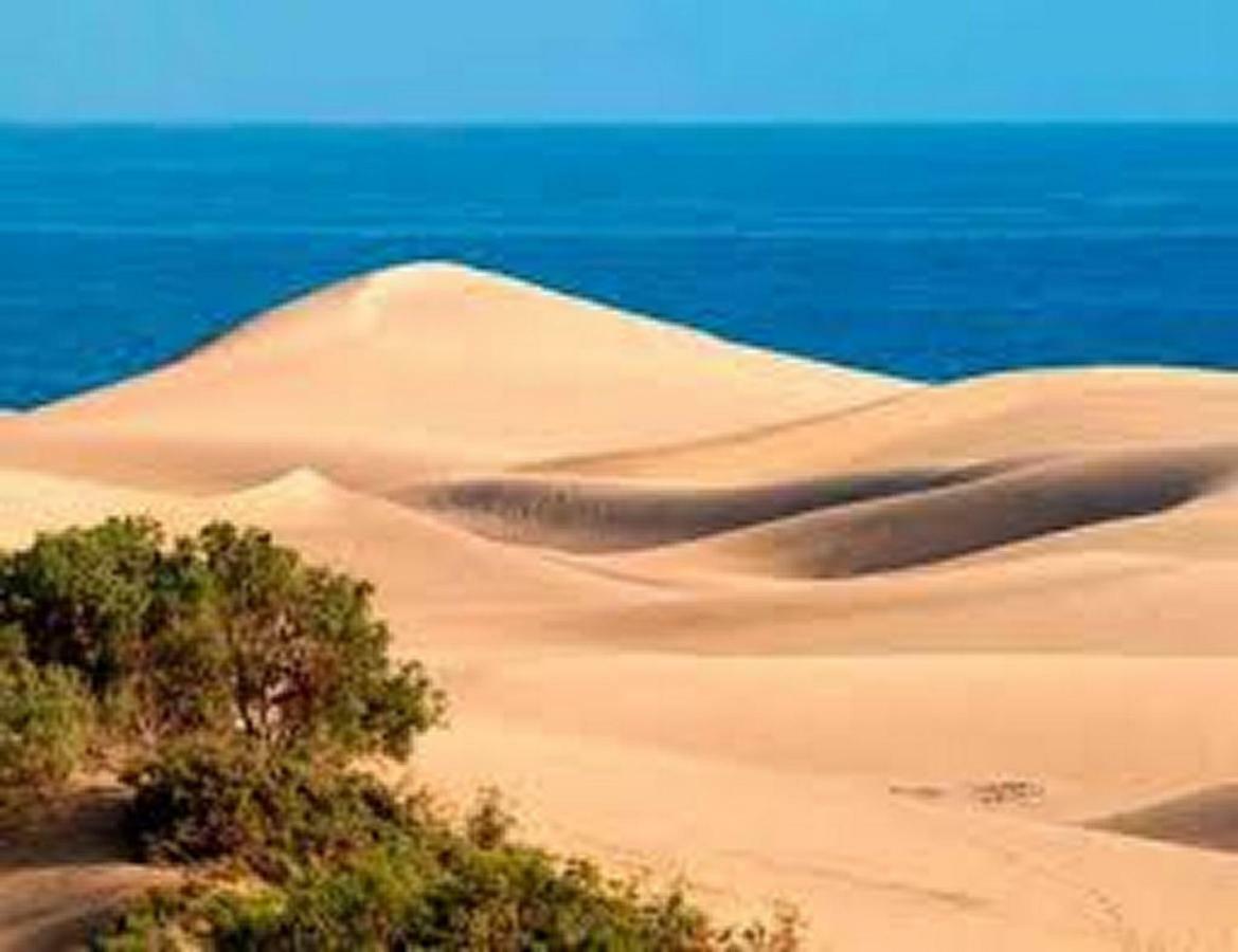 Bungalow Dunas&Sea Maspalomas Maspalomas  Ngoại thất bức ảnh